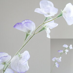 XC[gs[ A[eBtBVt[  t[AWg Ӓ j Mtg v[g u[P  CeA ̓ a ~jTCY JXj ԍޔ̔ {