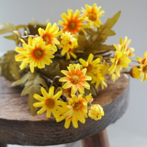 }[Kbg A[eBtBVt[  t[AWg Ӓ j Mtg v[g u[P  CeA ̓ a ~jTCY JXj ԍޔ̔ {