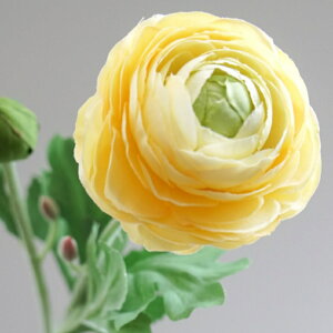 iLX A[eBtBVt[  t[AWg Ӓ j Mtg v[g u[P  CeA ̓ a ~jTCY JXj ԍޔ̔ {