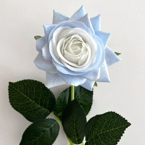 [Y o ~jo A[eBtBVt[  t[AWg Ӓ j Mtg v[g u[P  CeA ̓ a ~jTCY JXj ԍޔ