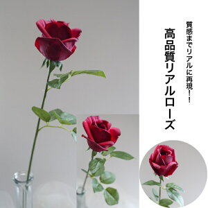 [Y o A[eBtBVt[  t[AWg Ӓ j Mtg v[g u[P  CeA ̓ a ~jTCY JXj ԍޔ̔ {