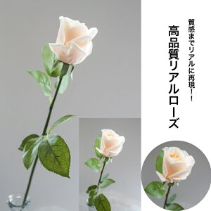 [Y o A[eBtBVt[  t[AWg Ӓ j Mtg v[g u[P  CeA ̓ a ~jTCY JXj ԍޔ̔ {