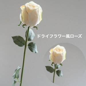 [Y o hCt[ A[eBtBVt[  t[AWg Ӓ j Mtg v[g u[P  CeA ̓ a ~jTCY JXj 