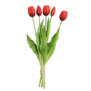 `[bv5{ `[bv A[eBtBVt[  t[AWg Ӓ j Mtg v[g u[P  CeA ̓ a ~jTCY JXj