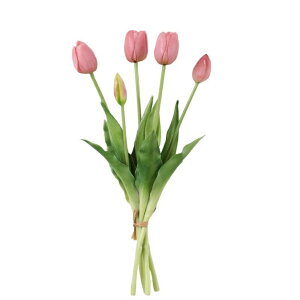 `[bv5{ `[bv A[eBtBVt[  t[AWg Ӓ j Mtg v[g u[P  CeA ̓ a ~jTCY JXj