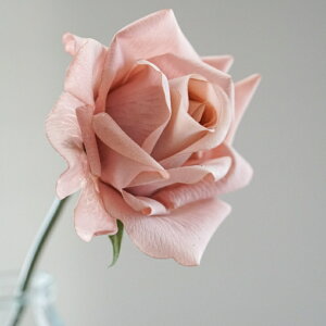 o [YsbN A[eBtBVt[  t[AWg Ӓ j Mtg v[g u[P  CeA ̓ a ~jTCY JXj ԍޔ̔ 