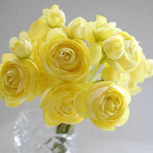 iLXu[P A[eBtBVt[  t[AWg Ӓ j Mtg v[g u[P  CeA ̓ a ~jTCY JXj ԍޔ