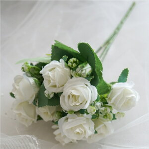 ~j[YubV [Y A[eBtBVt[  t[AWg Ӓ j Mtg v[g u[P  CeA ̓ a ~jTCY JXj 