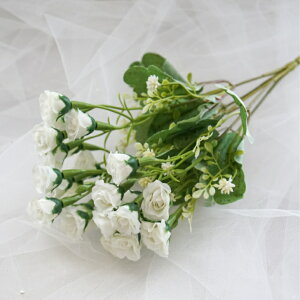 ~j[YubV A[eBtBVt[  t[AWg o j Mtg v[g u[P  CeA ̓ a ~jTCY JXj ԍޔ̔ 