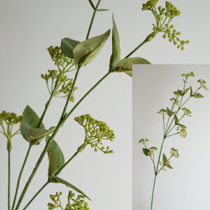 VL~A XL~A tFlA[eBtBVt[  t[AWg Ӓ j Mtg v[g u[P  CeA ̓ a ~jTCY JXj 