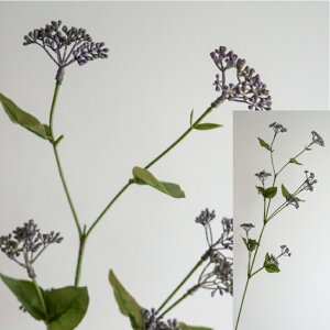 VL~A XL~A tFlA[eBtBVt[  t[AWg Ӓ j Mtg v[g u[P  CeA ̓ a ~jTCY JXj 