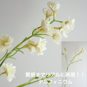 ftBjE A[eBtBVt[  t[AWg Ӓ j Mtg v[g u[P  CeA ̓ a ~jTCY JXj ԍޔ̔ {