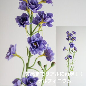 ftBjE A[eBtBVt[  t[AWg Ӓ j Mtg v[g u[P  CeA ̓ a ~jTCY JXj ԍޔ̔ {