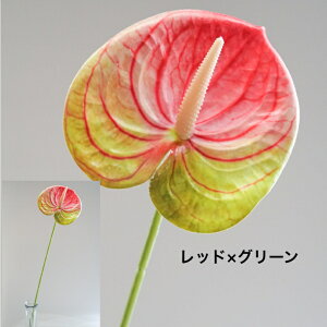 AXE A[eBtBVt[  t[AWg Ӓ j Mtg v[g u[P  CeA ̓ a ~jTCY JXj ԍޔ̔ {