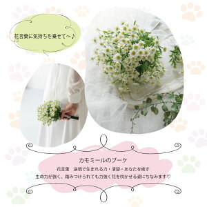 猫好きさんにも!猫珈7箱と選べるブーケLセット コーヒー カフェインレスコーヒー デカフェコーヒー ドリップコーヒー 誕生日 猫グッズ コーヒーギフト 出産祝い ママ用 おしゃれ かわいい