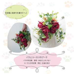 LDɂIL7ƑIׂu[PLZbg R[q[ JtFCXR[q[ fJtFR[q[ hbvR[q[ a LObY R[q[Mtg oYj }}p  킢