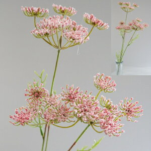 tFl [Xt[ A[eBtBVt[  t[AWg Ӓ j Mtg v[g u[P  CeA ̓ a ~jTCY JXj 