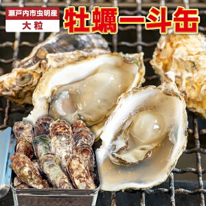 300~ItN[|zzIIyijRY kt嗱 70 (ID-12) Nn1/8`o׊JnI y kty JL ~Mtg ~O Ε