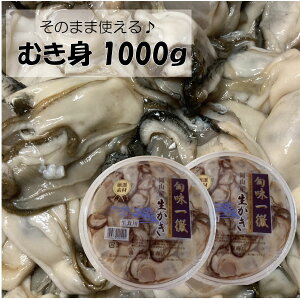 yijRY ނg 1000g ۊ (ID-02) R7Nx\JnI y kty JL ~Mtg ~O Ε p 蕨 BBQ 