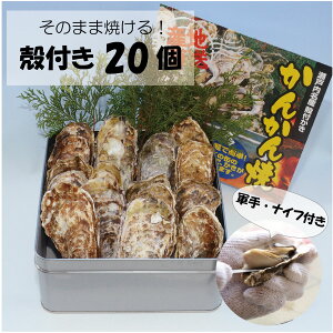 yijRY kt 񂩂Ă 20 (ID-09)\tJnI y kty JL ~Mtg ~O Ε p 蕨 BBQ 