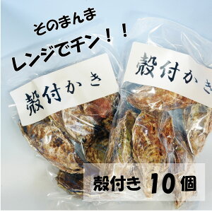 yij kt ̂܂܃WŃ`10 (ID-13)R7Nx\JnI y kty JL ~Mtg ~O Ε p 蕨 BBQ  ܂