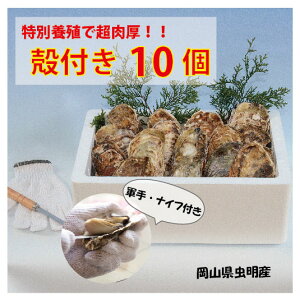 N[|zzIIyijRY kt嗱 10 (NEW) VOV[h R7Nx\JnI y kty JL ~Mtg ~O Ε