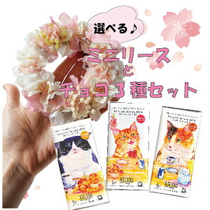 ~j[XƔL`R[g3Zbg `R[g zCg`R fJtFR[q[ hbvR[q[ a LACe LMtg R[q[Mtg Ε oYj }}p  