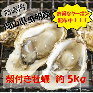 300~ItN[|zzIIyijRY kt 5kg (ID-11) {II y kty JL ~Mtg ~O Ε p 蕨 BBQ 