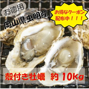 300~ItN[|zzIIyijRY kt100 10kg (ID-10) y kty JL  ~Mtg 蕨 p Ε BBQ