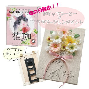 RRIZbg R[q[ JtFCXR[q[ fJtFR[q[ hbvR[q[ a LACe LMtg R[q[Mtg Ε oYj }}p  킢 l