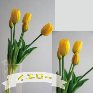 `[bv5{ `[bv A[eBtBVt[  t[AWg j Mtg v[g u[P  CeA ̓ a ~jTCY JXj ԍ