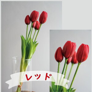 `[bv5{ `[bv A[eBtBVt[  t[AWg j Mtg v[g u[P  CeA ̓ a ~jTCY JXj ԍ