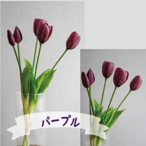 `[bv5{ `[bv A[eBtBVt[  t[AWg j Mtg v[g u[P  CeA ̓ a ~jTCY JXj ԍ