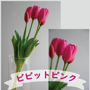 `[bv5{ `[bv A[eBtBVt[  t[AWg j Mtg v[g u[P  CeA ̓ a ~jTCY JXj ԍ