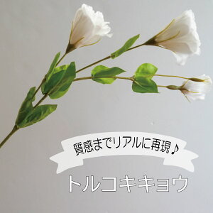 gRLLE A[eBtBVt[  t[AWg VATX j Mtg v[g u[P  CeA ̓ a JXj ԍޔ̔ {