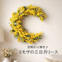 楽天市場】ミモザ 母の日の通販
