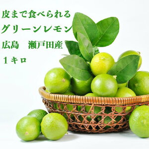 10{ȍ~y Yʓ{ L ˓c O[  1L z_cȂ I[KjbN ˓ Y ܂Ȃ L Y EG lemon m[bNX hܕsgp 