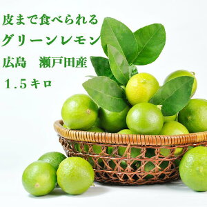 10{ȍ~y Yʓ{ L ˓c O[  1.5L z_cȂ I[KjbN ˓ Y ܂Ȃ L Y EG lemon m[bNX hܕsgp 