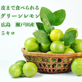 予約販売【 生産量日本一 広島 瀬戸田 グリーン レモン 5キロ 】農薬残りなし オーガニック 瀬戸内 国産 しまなみ 広島レモン 国産レモン 檸檬 lemon ノーワックス 防腐剤不使用 尾道 しまなみ 瀬戸内レモン 柑橘 レモネード レモンサワー
