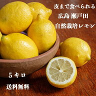 即日発送5980円→4980円【 生産量日本一 広島 瀬戸田 ほぼイエロー レモン 5キロ 】農薬残りなし オーガ…