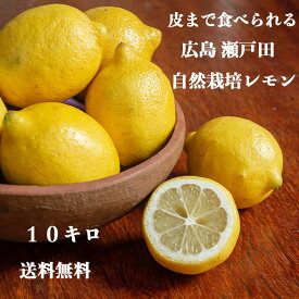 【 広島 瀬戸田 ほぼ イエロー レモン 10キロ 】農薬残りなし 瀬戸内 国産 しまなみ 広島レモン 国産レモン 瀬戸田レモン れもん 檸檬 lemon ノーワックス 防腐剤不使用 尾道 しまなみ 瀬戸内レモン 柑橘 送料無料 レモネード レモンサワー