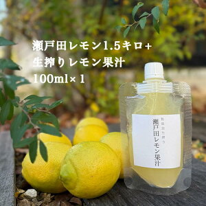 yL ˓c  1.5L + ˓c  ʏ` 100% 100m 1z ق CG[ ˓ Y ܂Ȃ L Y ˓c  EG lemon m[bNX hܕsg