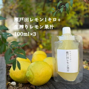 yL ˓c  1L + ˓c  ʏ` 100% 100m 3z ق CG[ ˓ Y ܂Ȃ L Y ˓c  EG lemon m[bNX hܕsgp 