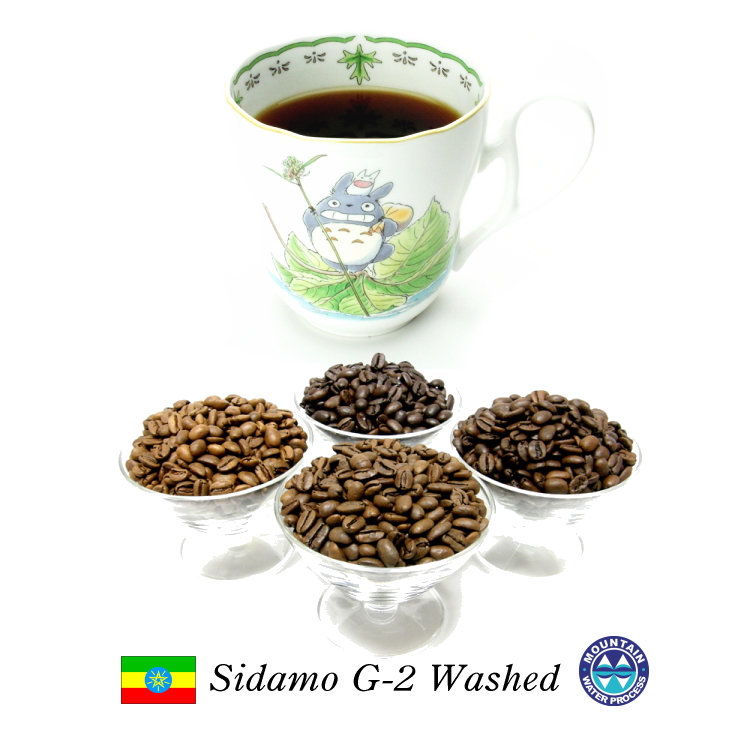 ウォッシュド モカらしいフローラル 安心の定価販売 フルーティな香り 99.9％カフェインフリー オーダーメイド デカフェ スペシャルティコーヒー シダモG2 100g エチオピア コーヒー 開催中 ディカフェ ノンカフェイン カフェインレスコーヒー エチオピアモカ