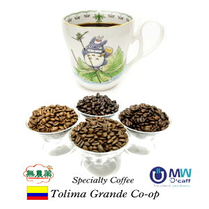 _99.9JtFCt[ I[_[Ch@fJtF RrA@g}EOf_@1kgi250g×4jJtFCXR[q[ fBJtF@I[KjbN100gp