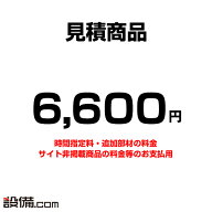 【見積】追加 オプション お支払い用 6600円