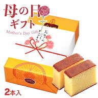母の日 長崎カステラ 250g×2本入 送料無料