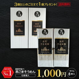 ポイント3倍 1000円ポッキリ 送料無料 3個購入で1個おまけ 島原手延べそうめん 黒ごまそうめん お試し8束 黒ゴマそうめん 島原手延べ素麺 珍しいもの