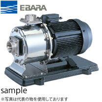 楽天市場】エバラ ステンレス 渦巻 ポンプの通販