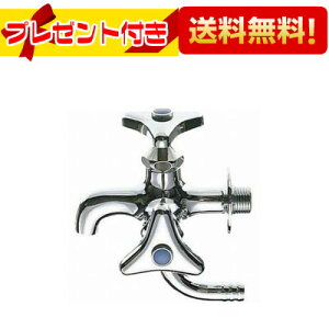 v[gt [JF10AK-13]Oh  np TGC